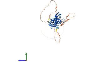 Protein Structure (PS) image for T-Box 10 (TBX10) (AA 1-385) protein (His tag) (ABIN7558469)