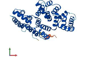 Protein Structure (PS) image for Annexin A8 (ANXA8) (AA 1-327) protein (His tag) (ABIN7562348)