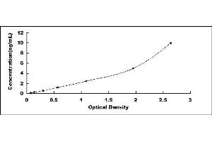 Typical standard curve (YAP1 ELISA 试剂盒)