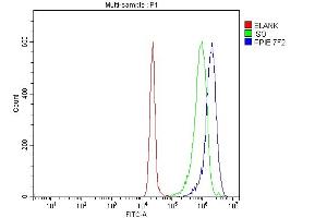 Flow Cytometry analysis of JK cells using anti-Cyclophilin E/PPIE antibody (ABIN7599243). (PPIE 抗体  (AA 1-301))