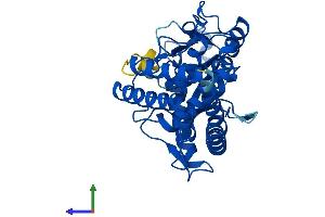 AlphaFold protein structure predicition of Human Recombinant MAB21L2 Protein, UniprotID Q9Y586