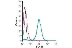 Cell surface detection of NPY1R in live intact human THP-1 monocytic leukemia cells: (black line) Cells. (NPY1R 抗体  (Extracellular))