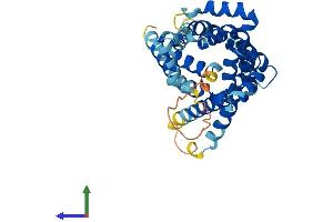 Protein Structure (PS) image for Solute Carrier Family 25, Member 33 (SLC25A33) (AA 1-320) protein (His tag) (ABIN7563687)