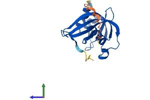 AlphaFold protein structure predicition of Mouse Recombinant Nudt3 Protein, UniprotID Q9JI46