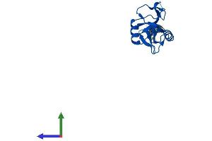 Protein Structure (PS) image for C-Type Lectin Domain Family 2, Member A (CLEC2A) (AA 1-174) protein (His tag) (ABIN7546529)