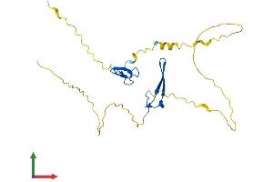 Protein Structure (PS) image for RING1 and YY1 Binding Protein (RYBP) (AA 1-228) protein (His tag) (ABIN7545870)