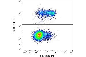 Flow cytometry multicolor surface staining of human lymphocytes stained using anti-human CD200 (OX-104) PE antibody (10 μL reagent / 100 μL of peripheral whole blood) and anti-human CD19 (LT19) APC antibody (10 μL reagent / 100 μL of peripheral whole blood). (CD200 抗体  (PE))