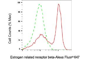 Flow cytometric analysis of Estrogen related receptor beta expression in Jurkat cells using Estrogen related receptor beta antibody (ABIN7798496), 1:2,000). (ESRRB 抗体)