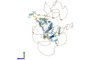 Protein Structure (PS) image for Splicing Factor, Arginine/serine-Rich 14 (SFRS14) (AA 1-1067) protein (His tag) (ABIN7564578)