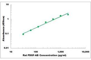 Representative Standard Curve (PDGF-AB Heterodimer ELISA 试剂盒)