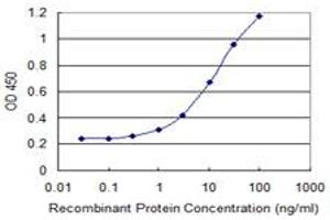 Detection limit for recombinant GST tagged RIOK2 is 0. (RIOK2 抗体  (AA 453-551))