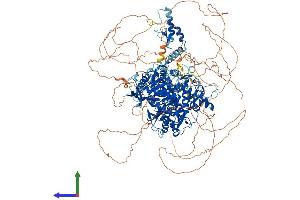 Protein Structure (PS) image for Zinc Finger, CCHC Domain Containing 6 (ZCCHC6) (AA 1-1491) protein (His tag) (ABIN7563798)