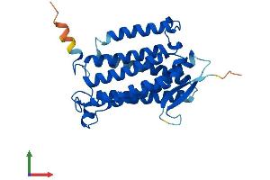 Protein Structure (PS) image for Alkaline Ceramidase 1 (ACER1) (AA 1-273) protein (His tag) (ABIN7559769)