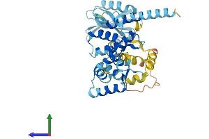 AlphaFold protein structure predicition of Human Recombinant MOAP1 Protein, UniprotID Q96BY2