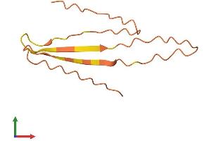 Protein Structure (PS) image for Chromosome 4 Open Reading Frame 6 (C4orf6) (AA 1-93) protein (His tag) (ABIN7553155)