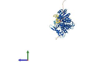Protein Structure (PS) image for Phospholipase D Family, Member 5 (PLD5) (AA 1-536) protein (His tag) (ABIN7550807)