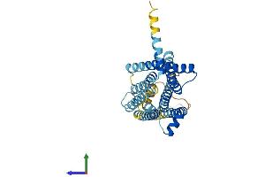 AlphaFold protein structure predicition of Mouse Recombinant Tas2r123 Protein, UniprotID P59528 (TAS2R123 Protein (AA 1-333) (His tag))