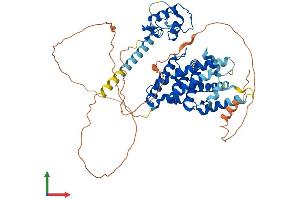AlphaFold protein structure predicition of Mouse Recombinant Nr5a2 Protein, UniprotID P45448