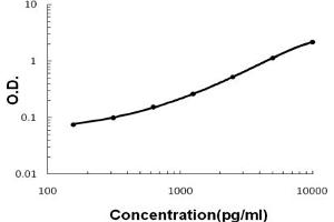 Sandwich ELISA - Recombinant rat SCGB1A1 protein standard curve.