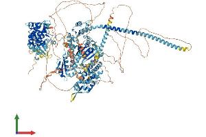 Protein Structure (PS) image for Myosin IIIA (MYO3A) (AA 1-1613) protein (His tag) (ABIN7564652)