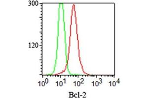 FACS staining (intracellular) of Jurkat cells using Bcl2 antibody cocktail (red) and isotype control (green). (Bcl-2 抗体  (AA 41-54))