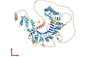 Protein Structure (PS) image for Leucine Rich Repeat Containing 41 (LRRC41) (AA 1-812) protein (His tag) (ABIN7549132)
