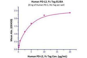 Binding Studies (Bind) image for Programmed Cell Death 1 Ligand 2 (PDCD1LG2) (AA 20-219) (Active) protein (Fc Tag) (ABIN2749238)