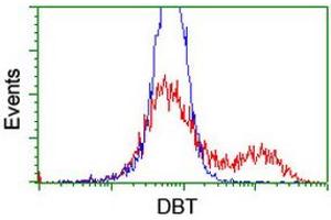 Flow Cytometry (FACS) image for anti-Dihydrolipoamide Branched Chain Transacylase E2 (DBT) antibody (ABIN1497771) (DBT 抗体)