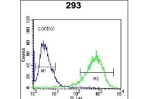 ITPKB Antibody (N-term) (ABIN652430 and ABIN2842237) flow cytometric analysis of 293 cells (right histogram) compared to a negative control cell (left histogram). (ITPKB 抗体  (N-Term))
