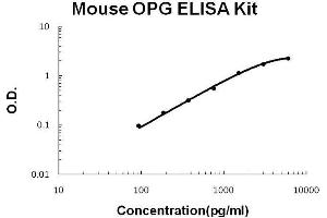 ELISA image for Tumor Necrosis Factor Receptor Superfamily, Member 11b (TNFRSF11B) ELISA Kit (ABIN411342)