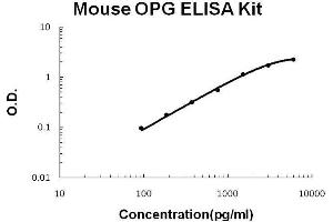 Mouse OPG PicoKine ELISA Kit standard curve (Osteoprotegerin ELISA 试剂盒)