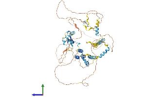 Protein Structure (PS) image for Cytoskeleton Associated Protein 2 (CKAP2) (AA 1-683) protein (His tag) (ABIN7553383)