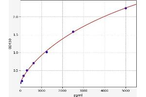 Typical standard curve (Creatine Kinase MB ELISA 试剂盒)