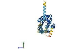 Protein Structure (PS) image for G Protein-Coupled Receptor 82 (GPR82) (AA 1-336) protein (His tag) (ABIN7548064)