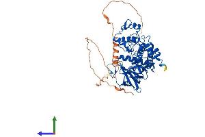 Protein Structure (PS) image for CDC like Kinase 1 (CLK1) (AA 1-483) protein (His tag) (ABIN7562969)