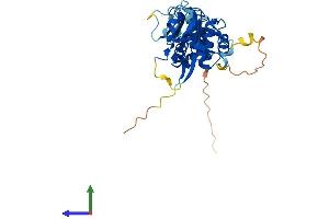 Protein Structure (PS) image for Dual Specificity Phosphatase 12 (DUSP12) (AA 1-339) protein (His tag) (ABIN7560853)