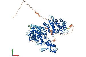 AlphaFold protein structure predicition of Human Recombinant HECTD2 Protein, UniprotID Q5U5R9 (HECTD2 Protein (AA 1-776) (His tag))