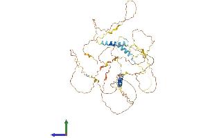 Protein Structure (PS) image for Family with Sequence Similarity 149, Member B1 (FAM149B1) (AA 1-582) protein (His tag) (ABIN7547543)