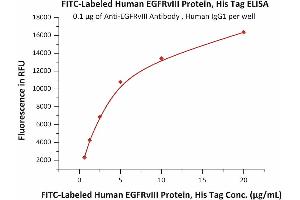Immobilized AIII Antibody , Human IgG1 at 1 μg/mL (100 μL/well) can bind Fed Human EGFRvIII Protein, His Tag (ABIN6973043) with a linear range of 0. (EGFRviii Protein (AA 25-378) (His tag,FITC))