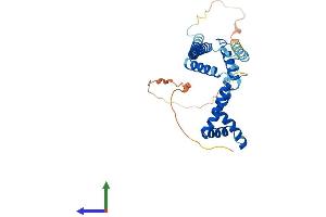 AlphaFold protein structure predicition of Mouse Recombinant Hmg20b Protein, UniprotID Q9Z104 (HMG20B Protein (AA 1-317) (His tag))