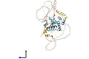 Protein Structure (PS) image for Zinc Finger Protein 446 (ZNF446) (AA 1-450) protein (His tag) (ABIN7545804)