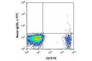 Flow Cytometry (FACS) image for anti-Chemokine (C-C Motif) Receptor 6 (CCR6) antibody (FITC) (ABIN2661554) (CCR6 抗体  (FITC))