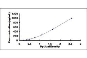 Typical standard curve (Persephin ELISA 试剂盒)