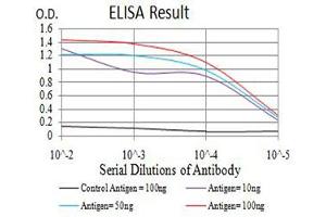 Black line: Control Antigen (100 ng),Purple line: Antigen (10 ng), Blue line: Antigen (50 ng), Red line:Antigen (100 ng) (BAG1 抗体  (AA 219-346))