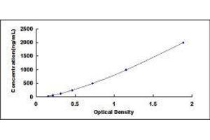 Inter-alpha Trypsin Inhibitor, Heavy Chain 1 (ITIH1) ELISA Kit