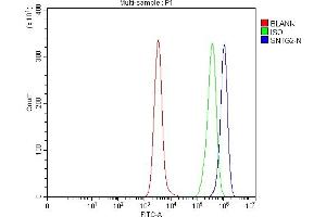 Flow Cytometry analysis of Daudi cells using anti-SNTG2 antibody (ABIN7599617).