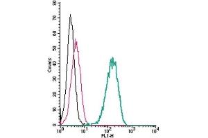 Cell surface detection of PLXNA1 by indirect flow cytometry in live intact human THP-1 monocytic leukemia cells: (black line) Cells. (Plexin A1 抗体  (Extracellular, N-Term))