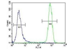Flow Cytometry (FACS) image for anti-Mast/stem Cell Growth Factor Receptor (KIT) (AA 106-135) antibody (ABIN3031704)
