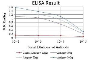 Red: Control Antigen (100 ng), Purple: Antigen (10 ng), Green: Antigen (50 ng), Blue: Antigen (100 ng), (PKN2 抗体)