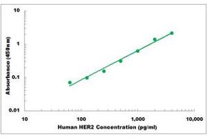 Representative Standard Curve (ErbB2/Her2 ELISA 试剂盒)